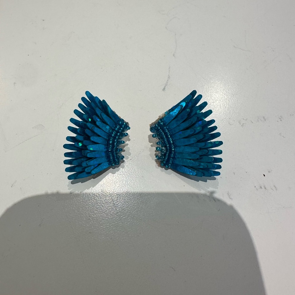 Blue earrings never worn